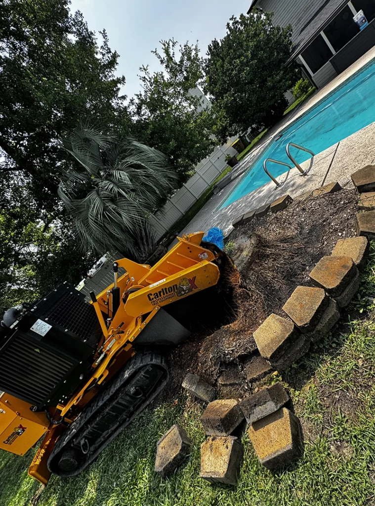 Stump Grinding Services